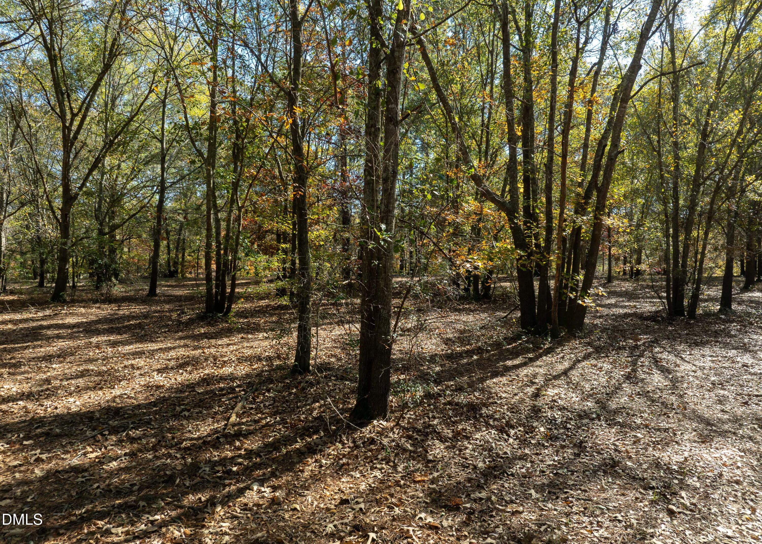 Exterior photo of 167 River Ridge Drive, Wallace, NC 28466. MLS: 10183999