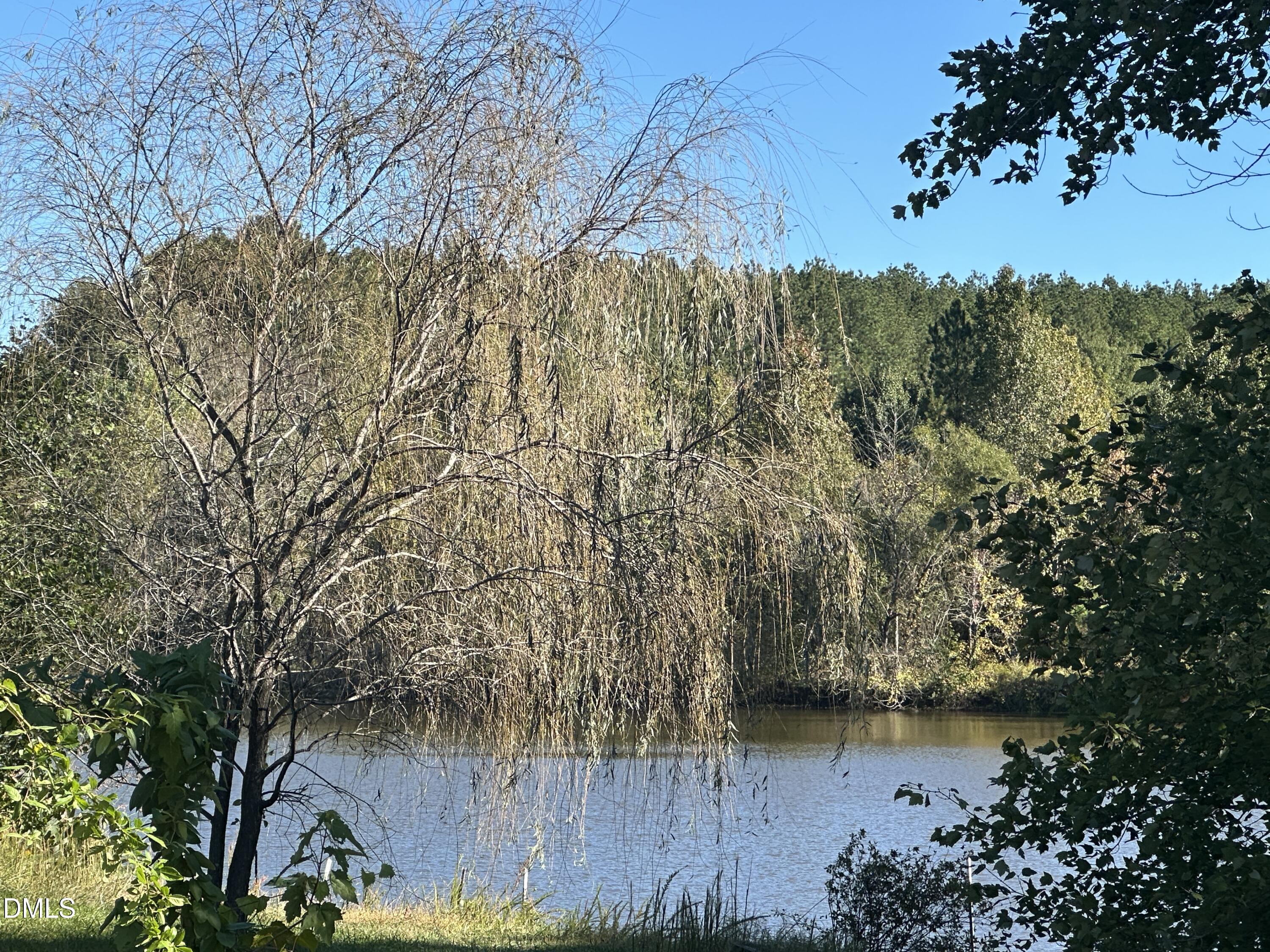 IMG_3751