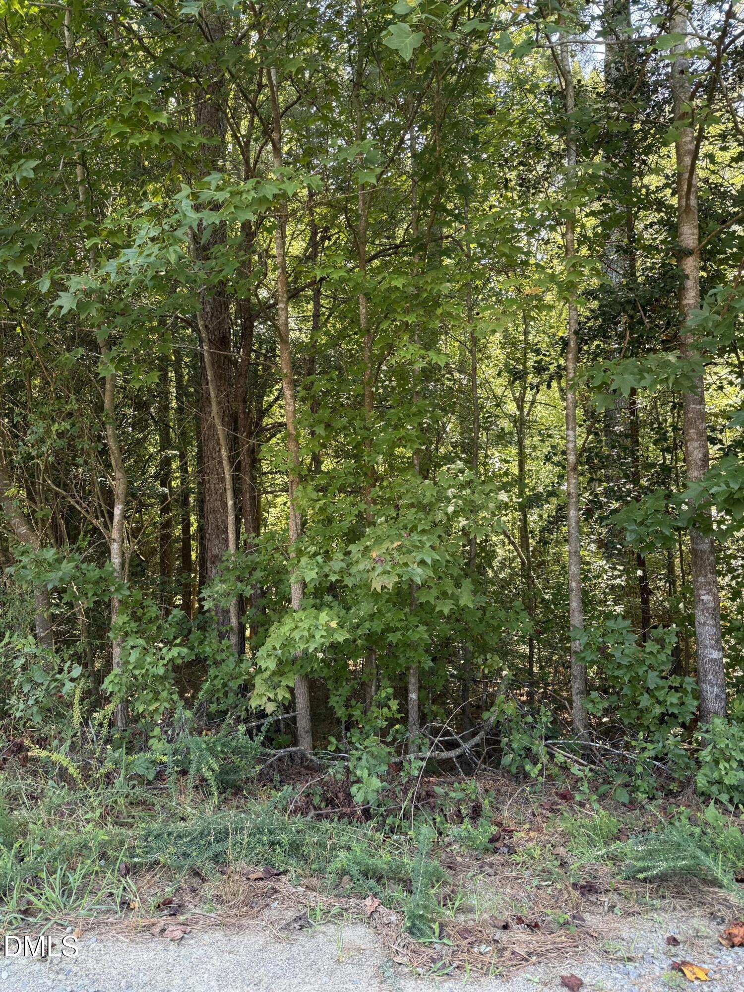 Exterior photo of 0 Williams Farm Road, Sanford, NC 27332. MLS: 10191054