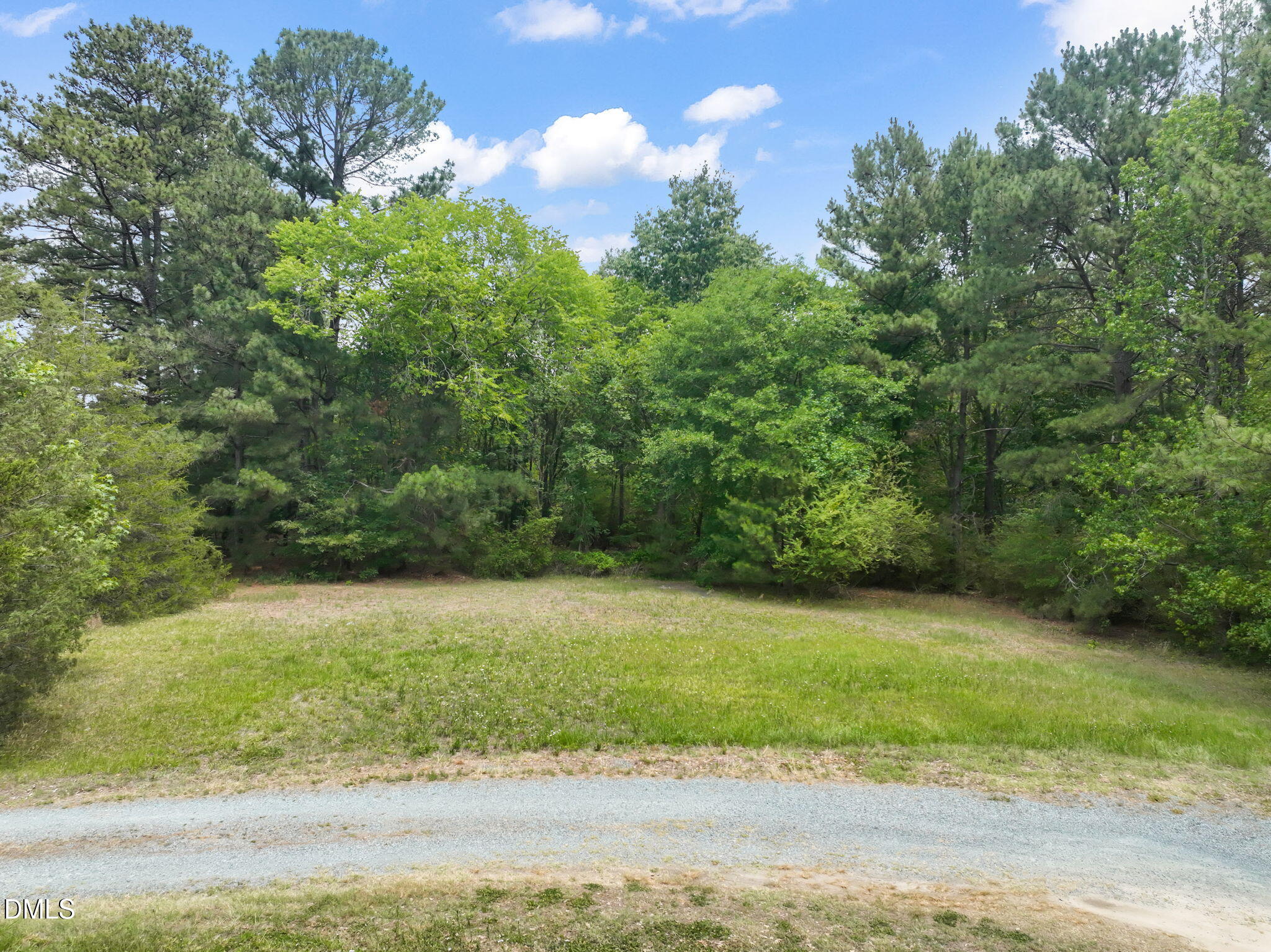 Grassy clearing bordered by mature trees, with a gravel road in front.