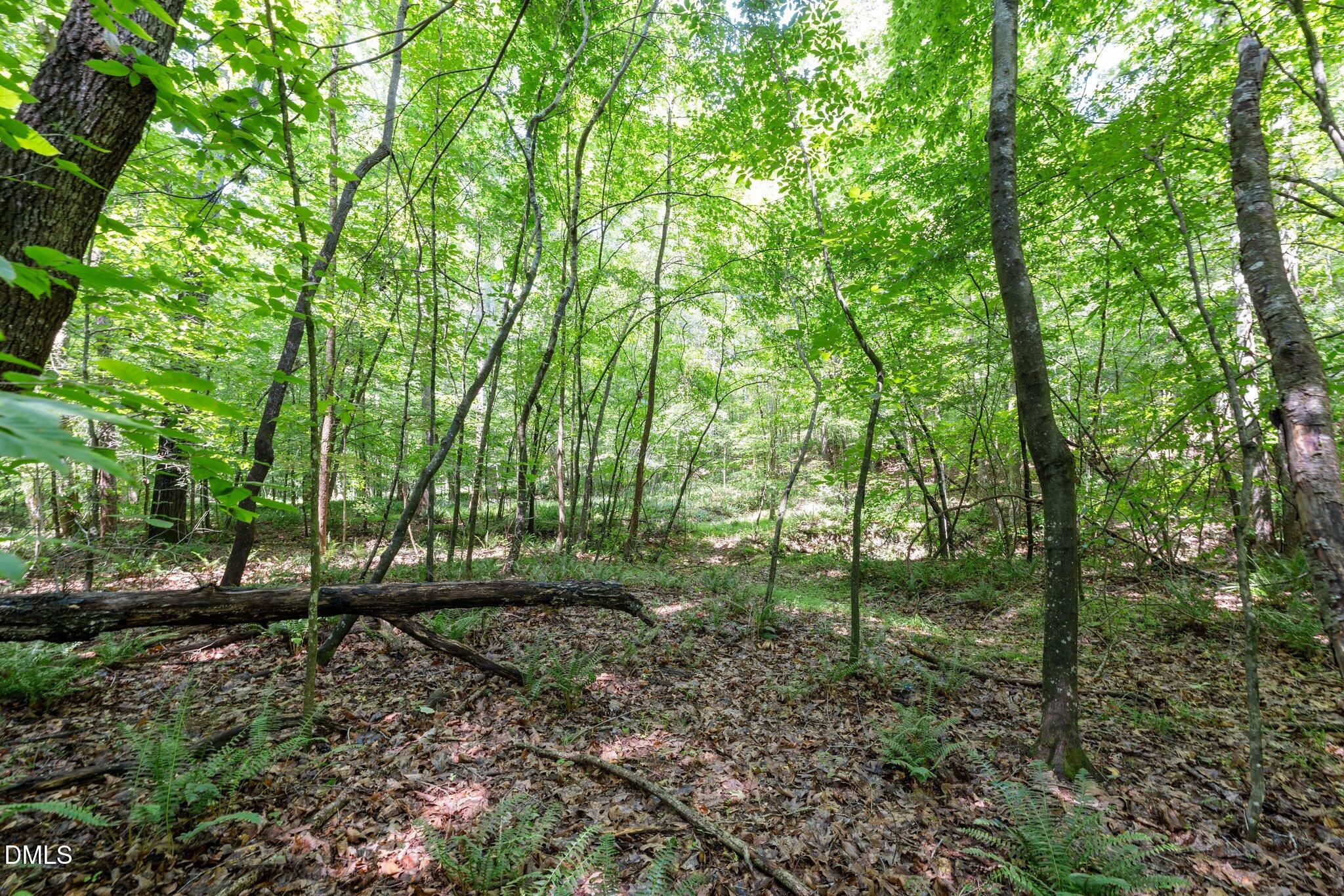 Exterior photo of 6910 Long Meadow Lane, Whitsett, NC 27377. MLS: 10153319
