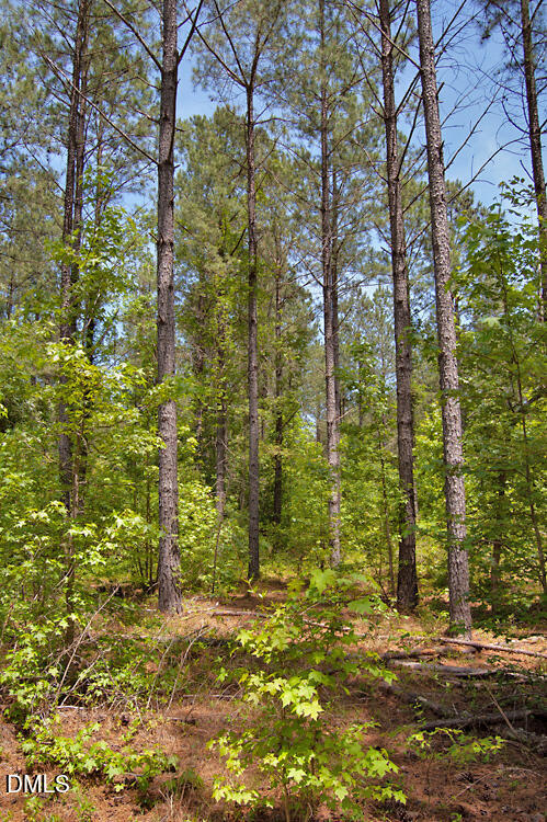 Exterior photo of G G F Ball Road, Louisburg, NC 27549. MLS: 10173654