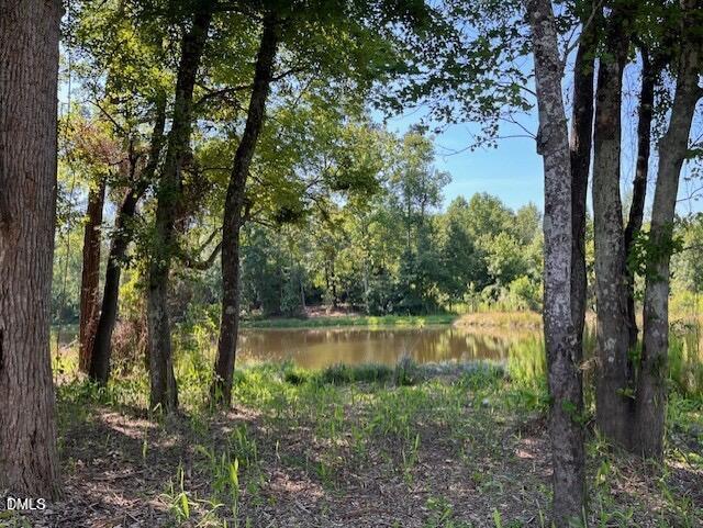 Exterior photo of 463 E Clydes Pt Way, Wendell, NC 27591. MLS: 10190726