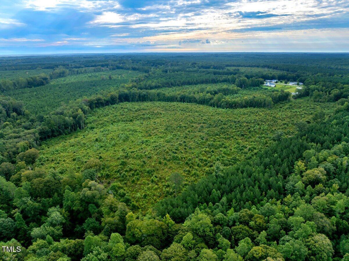 drone skyline view #2