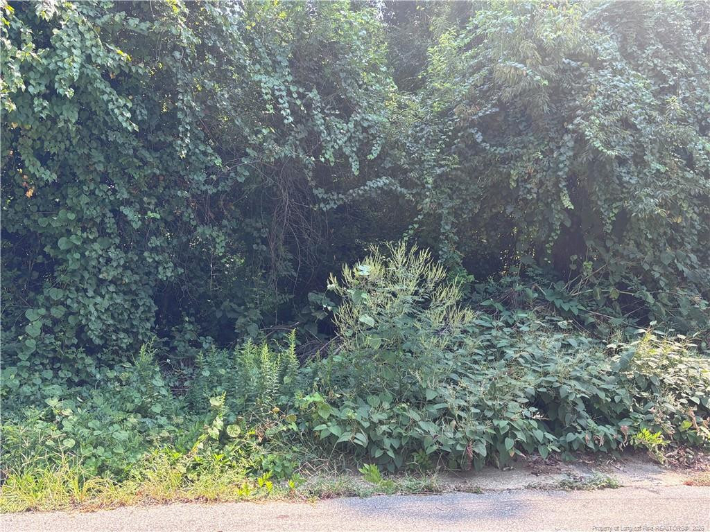 Exterior photo of 421 Preston Avenue, Fayetteville, NC 28301. MLS: 769603