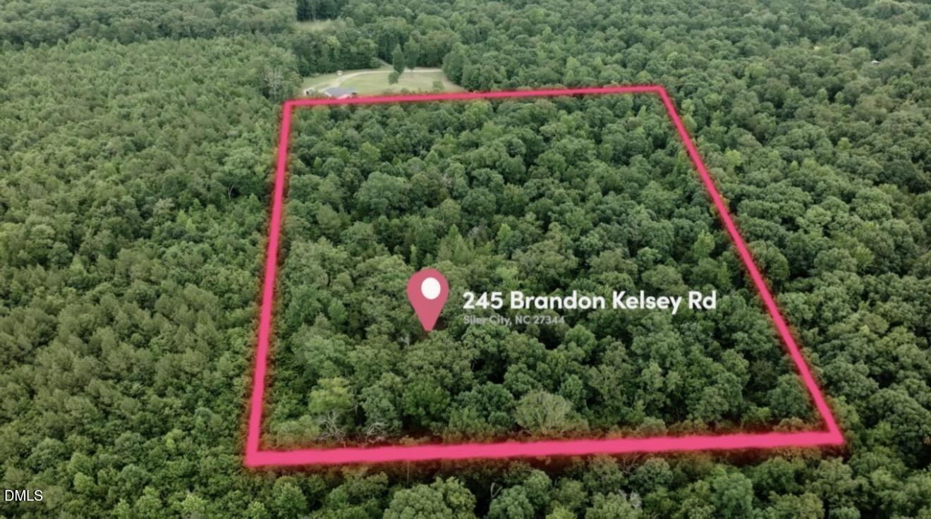 Exterior photo of 245 Brandon-kelsey Drive, Siler City, NC 27344. MLS: 10172697