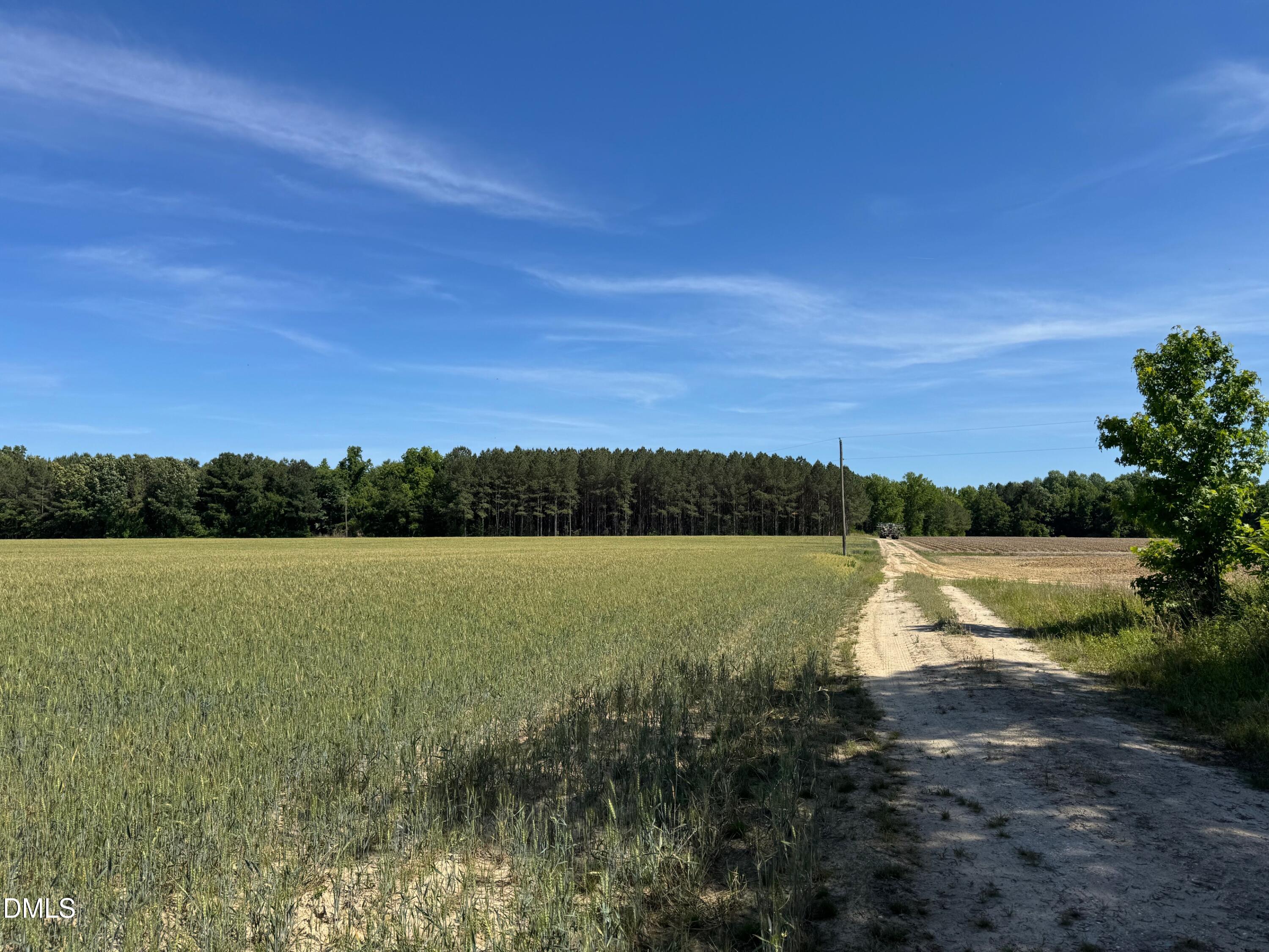Field and Path photo 2