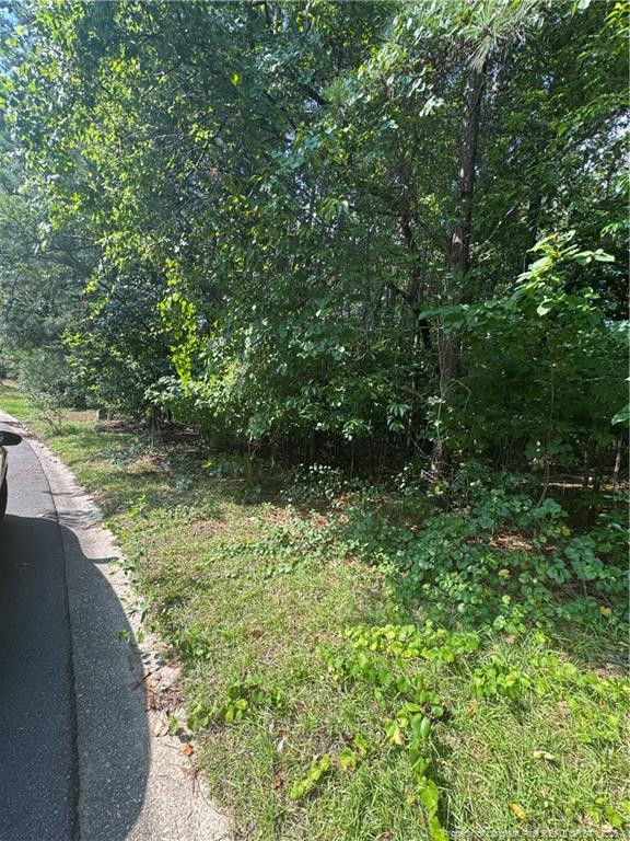 Exterior photo of 0 Stonington Drive, Fayetteville, NC 28311. MLS: 768900