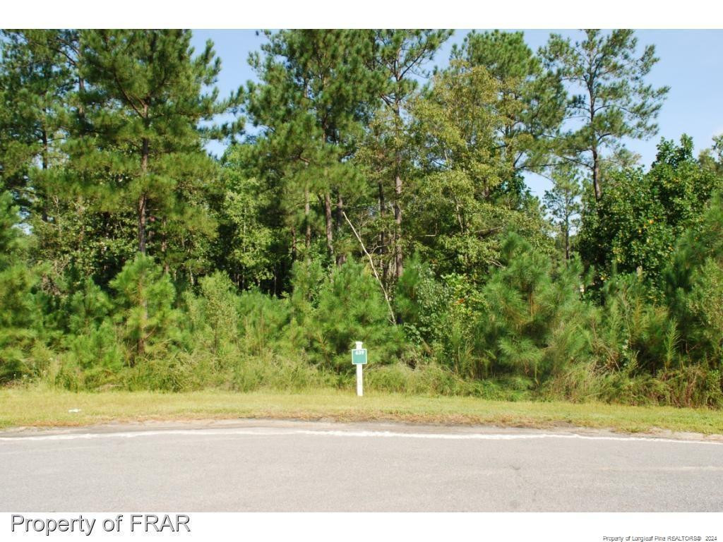 Exterior photo of 222 Broadlake (639) Lane, Spring Lake, NC 28390. MLS: 734544