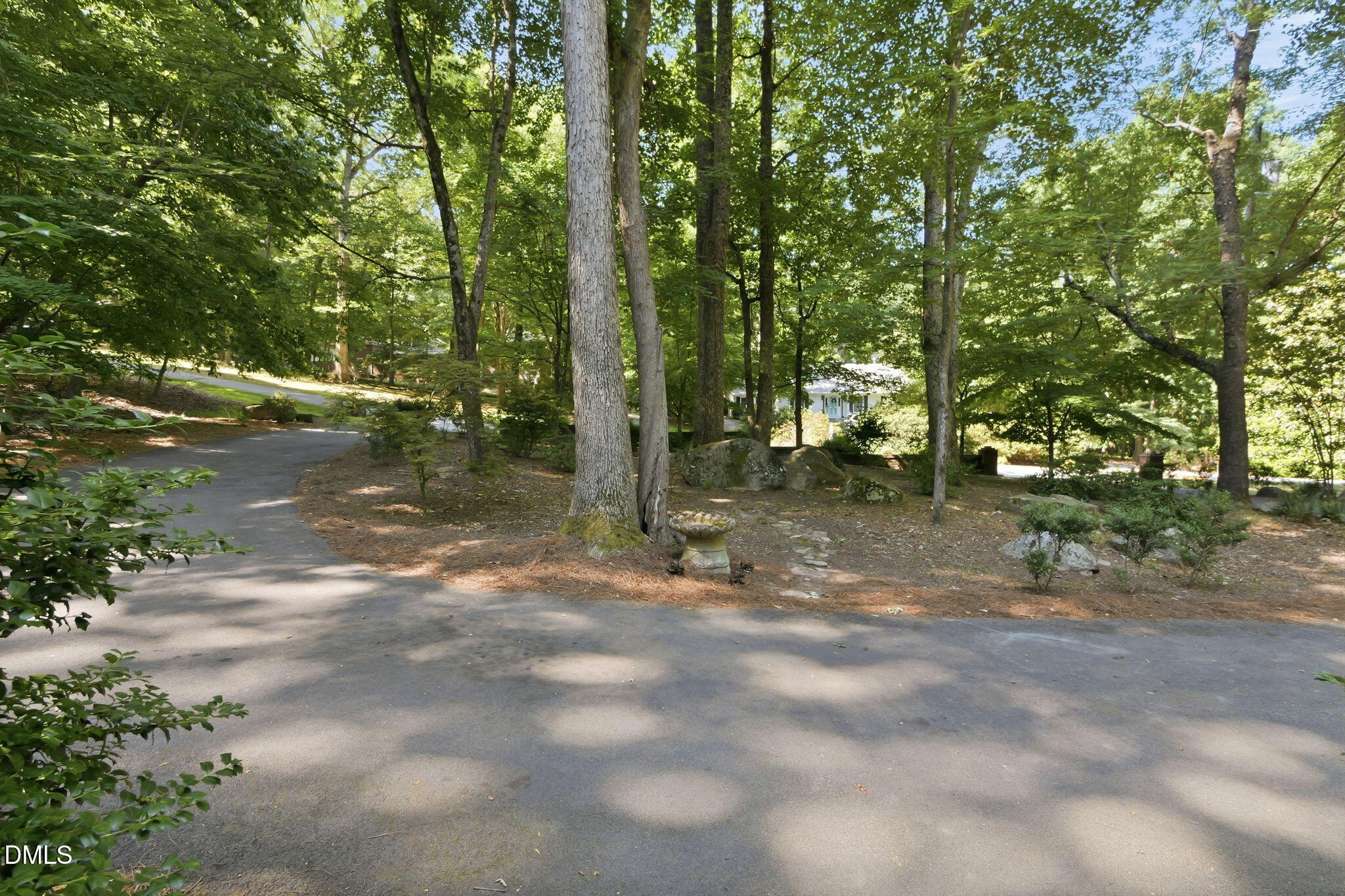 50-web-or-mls-P1127937
