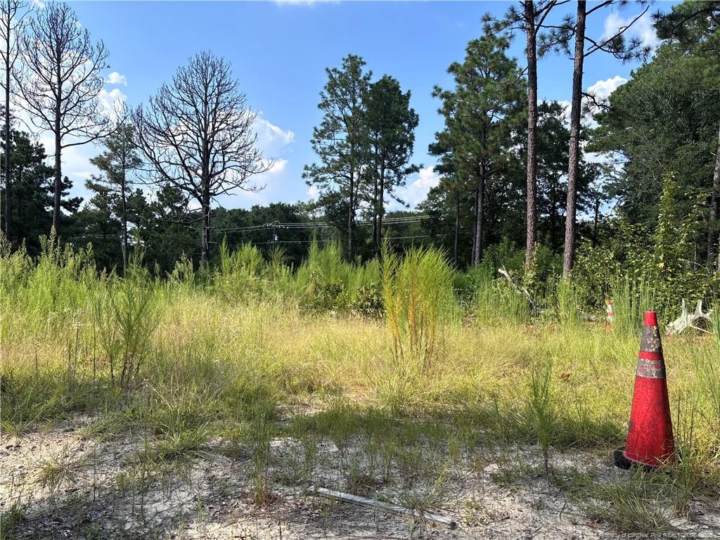 Exterior photo of 813 Wiregrass Road, Hamlet, NC 28345. MLS: 768853