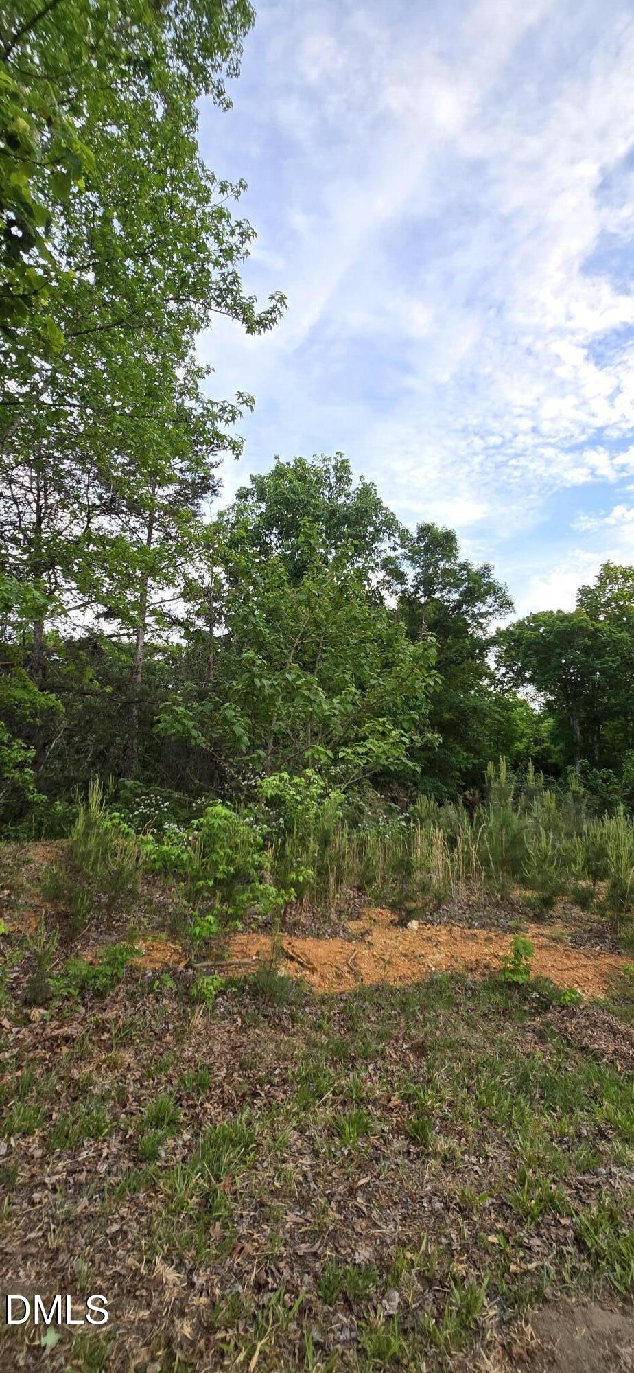 Exterior photo of 6530 Treetop Court, Snow Camp, NC 27349. MLS: 10189730