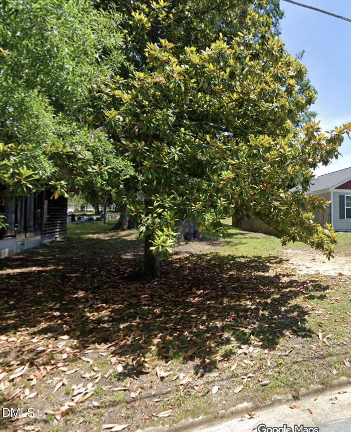 Street Level View