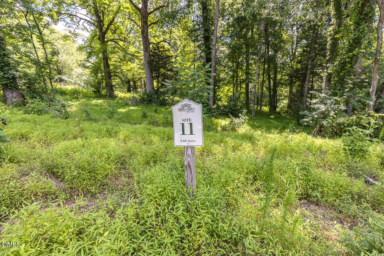 lot-no11