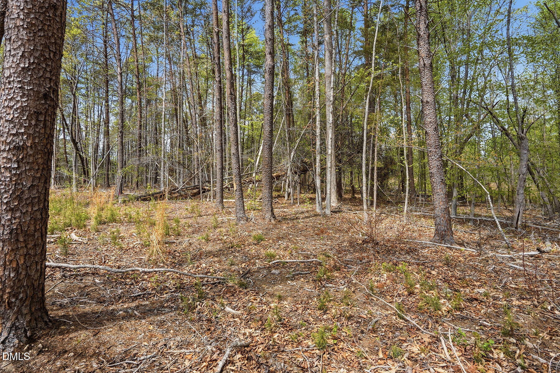 13-web-or-mls-6134 Bob Daniel rd-64