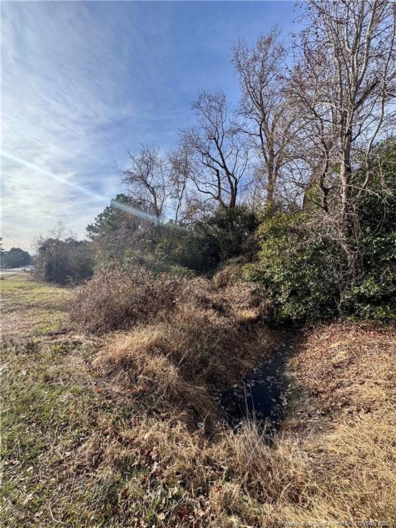Exterior photo of 0 Tramway Road, Sanford, NC 27330. MLS: 754709
