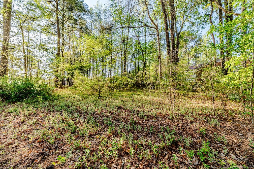 Exterior photo of 0 Hillwood Street, Sanford, NC 27330. MLS: 766128