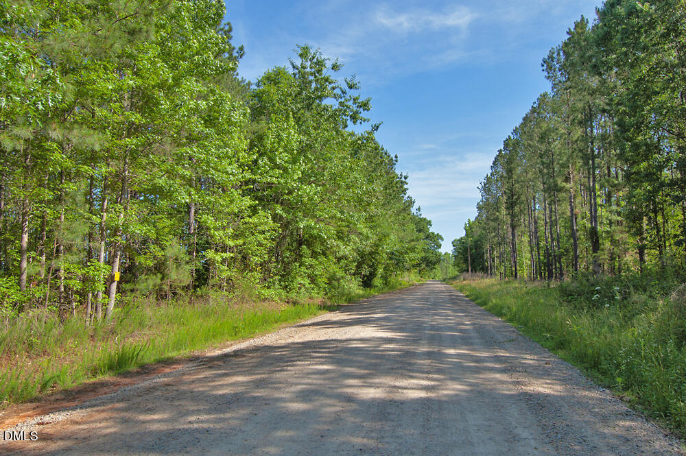 Exterior photo of F G F Ball Road, Louisburg, NC 27549. MLS: 10173649