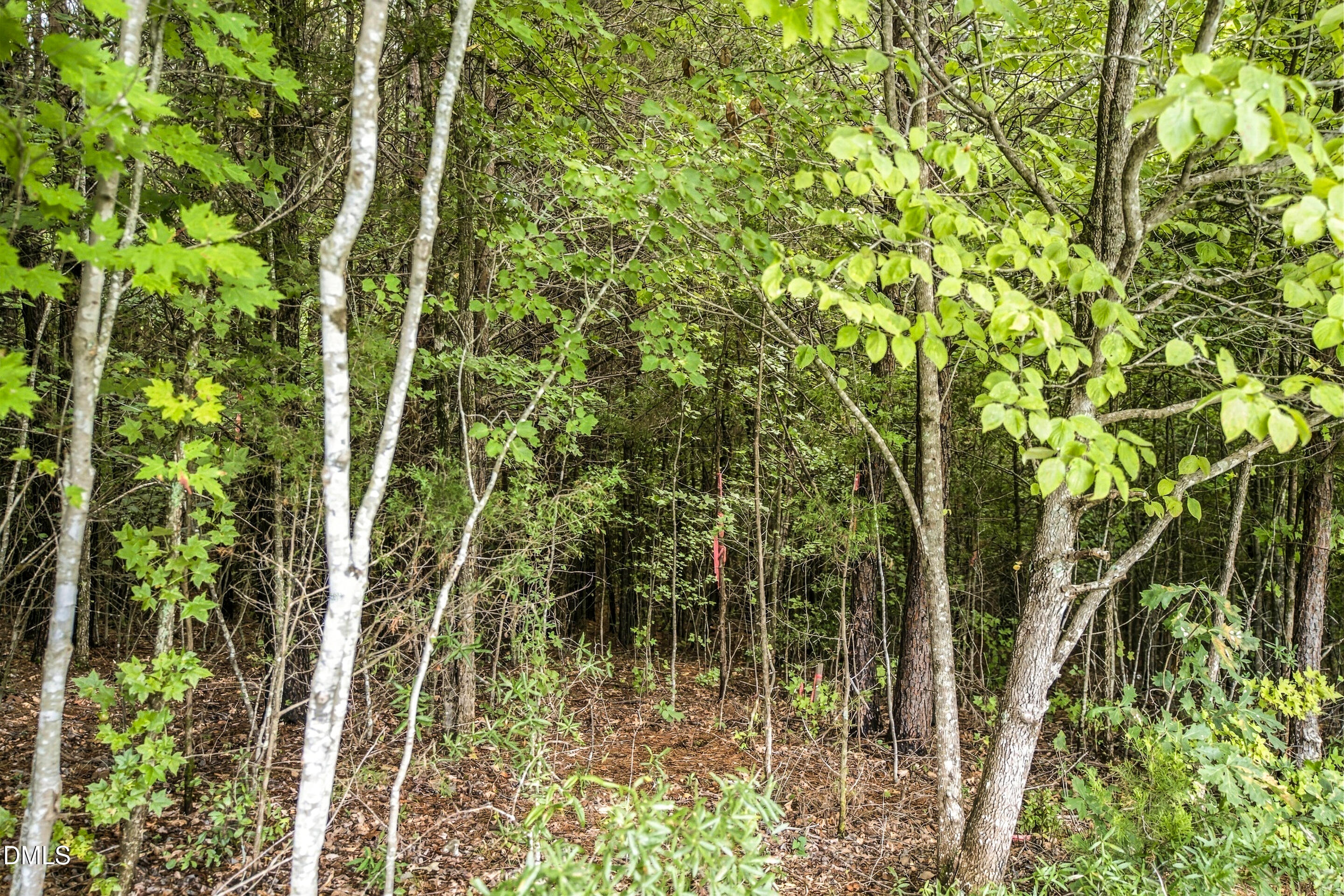 Exterior photo of Lot 5 Green Mountain Road, Hillsborough, NC 27278. MLS: 10193180