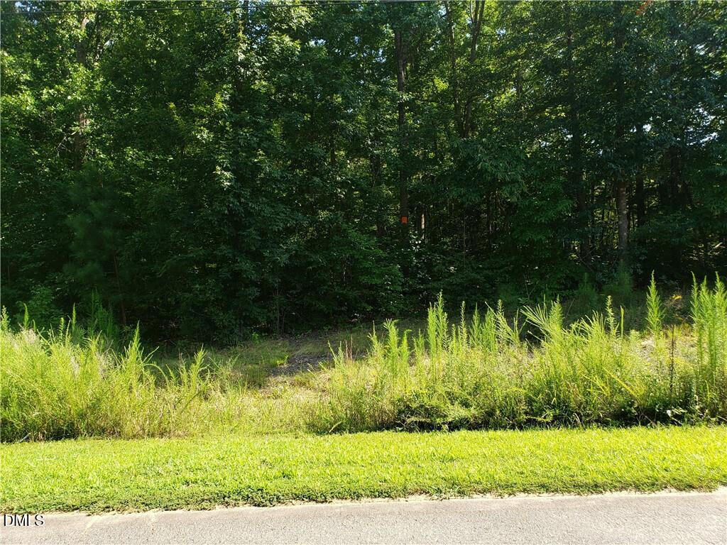 Exterior photo of 1131 Hummingbird Lane, Liberty, NC 27298. MLS: 10193919