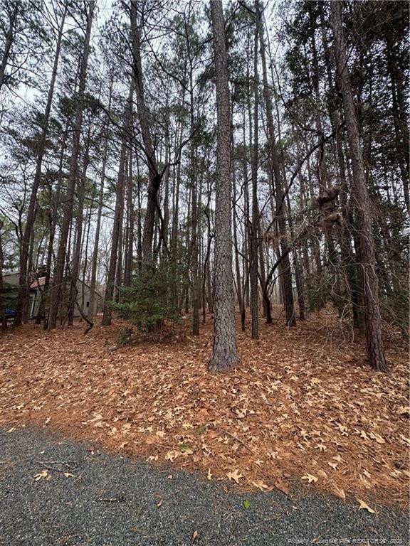 Exterior photo of 1790 Irish Boulevard, Sanford, NC 27332. MLS: 755885