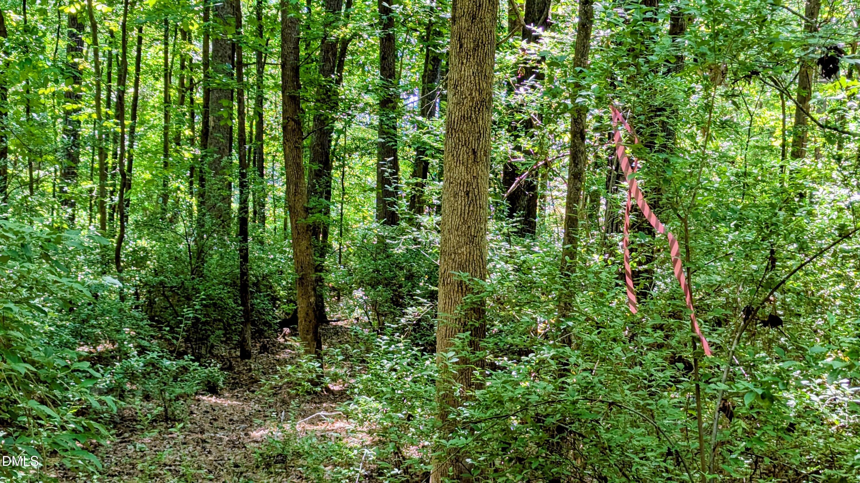 Lot interior