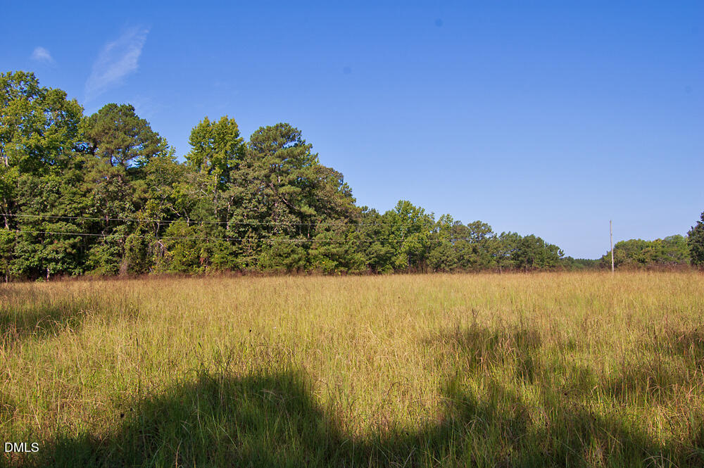 Exterior photo of 1738 Laurel Mill-centerville Road, Louisburg, NC 27549. MLS: 10189790