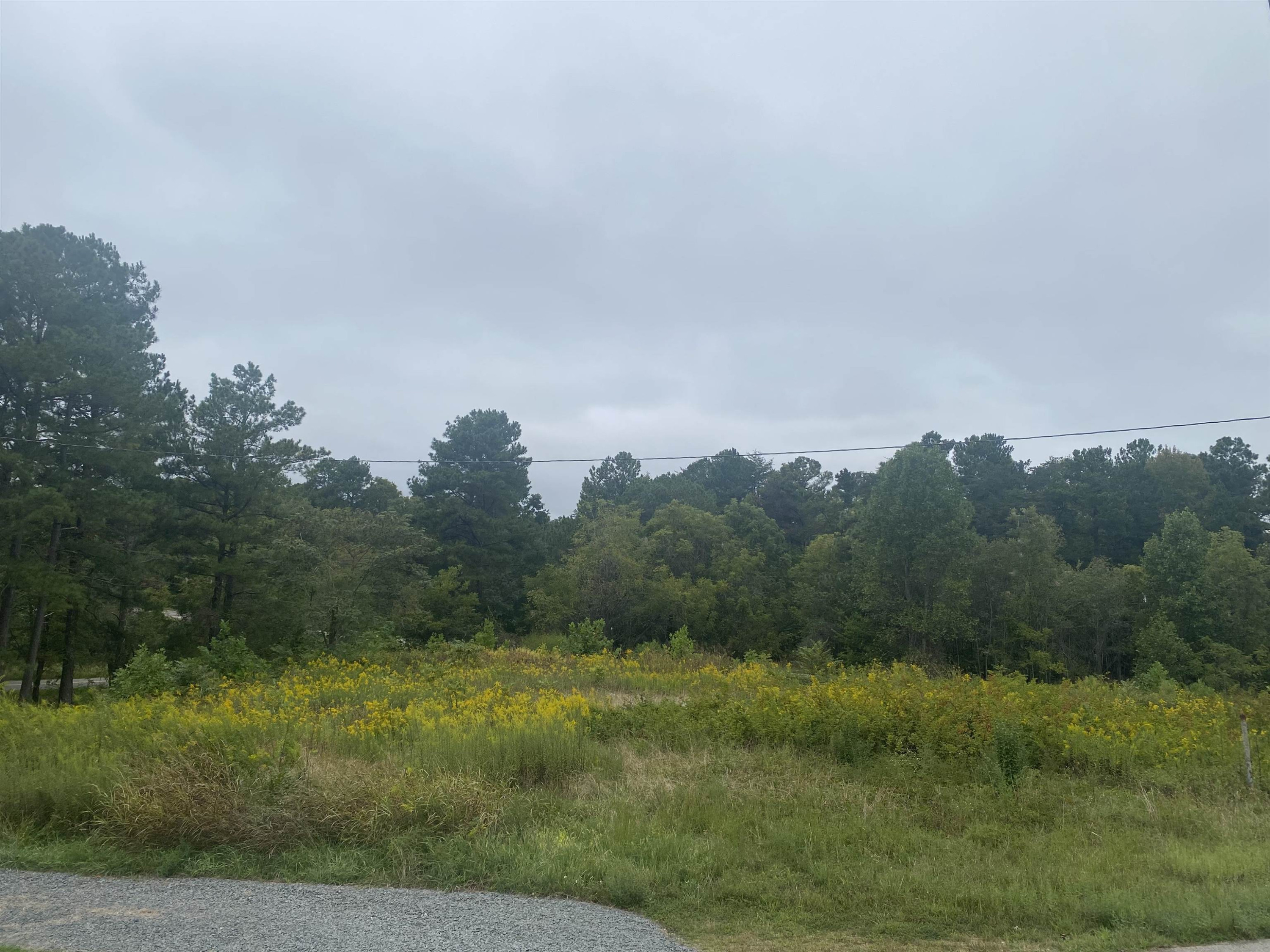 Grassy open lot with yellow wildflowers, a wooded backdrop, and an overcast sky.