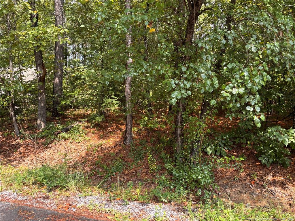 Exterior photo of 668 CHELSEA Drive, Sanford, NC 27332. MLS: 767965