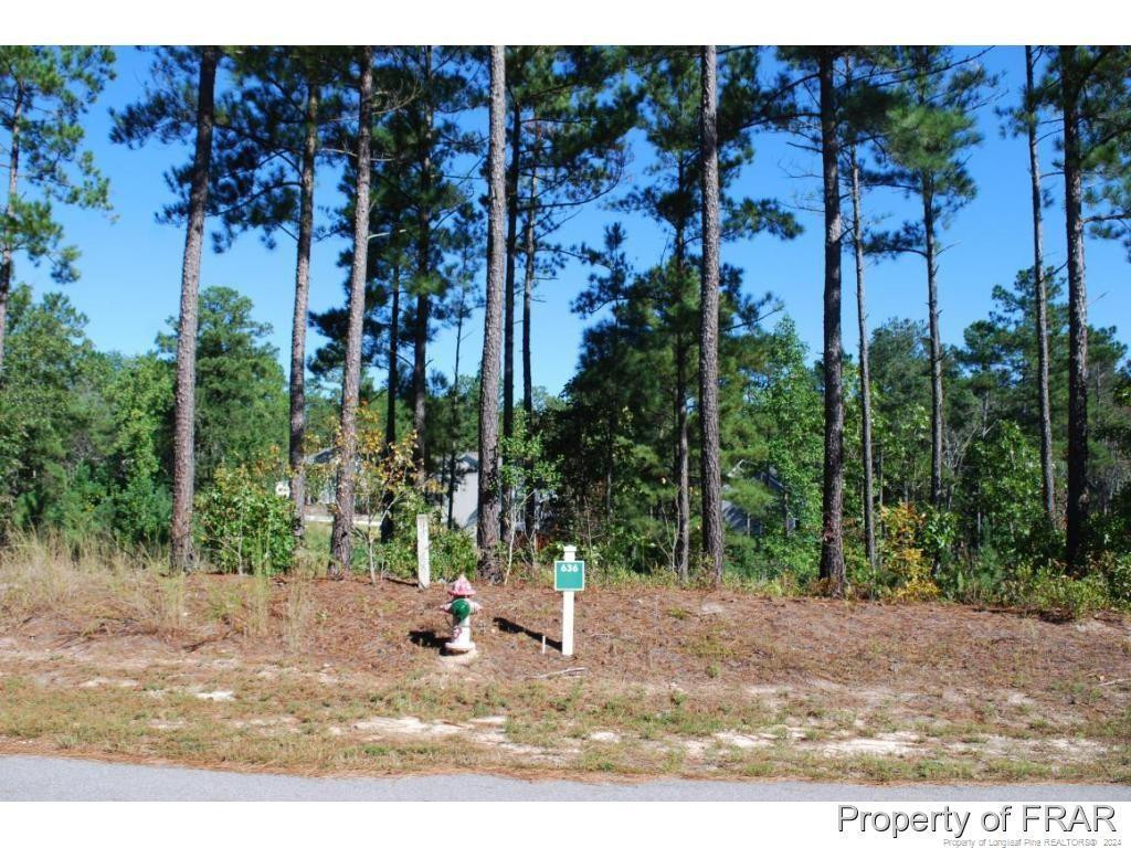 Exterior photo of 162 Broadlake (636) Lane, Spring Lake, NC 28390. MLS: 734550