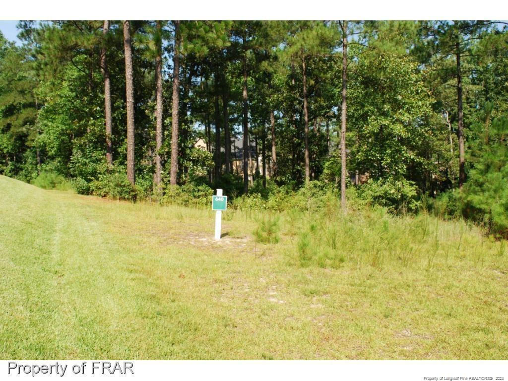 Exterior photo of 232 Broadlake (640) Lane, Spring Lake, NC 28390. MLS: 734547