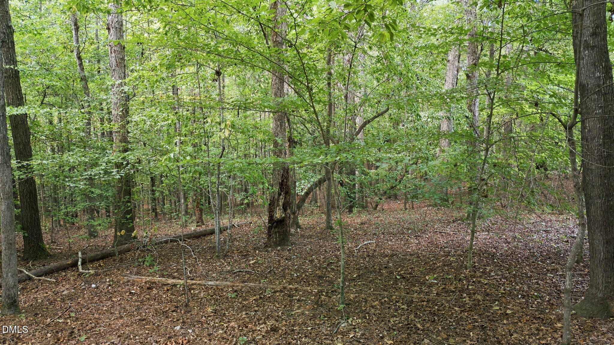 Exterior photo of 00 Rollins Mill Road, Holly Springs, NC 27540. MLS: 10194790