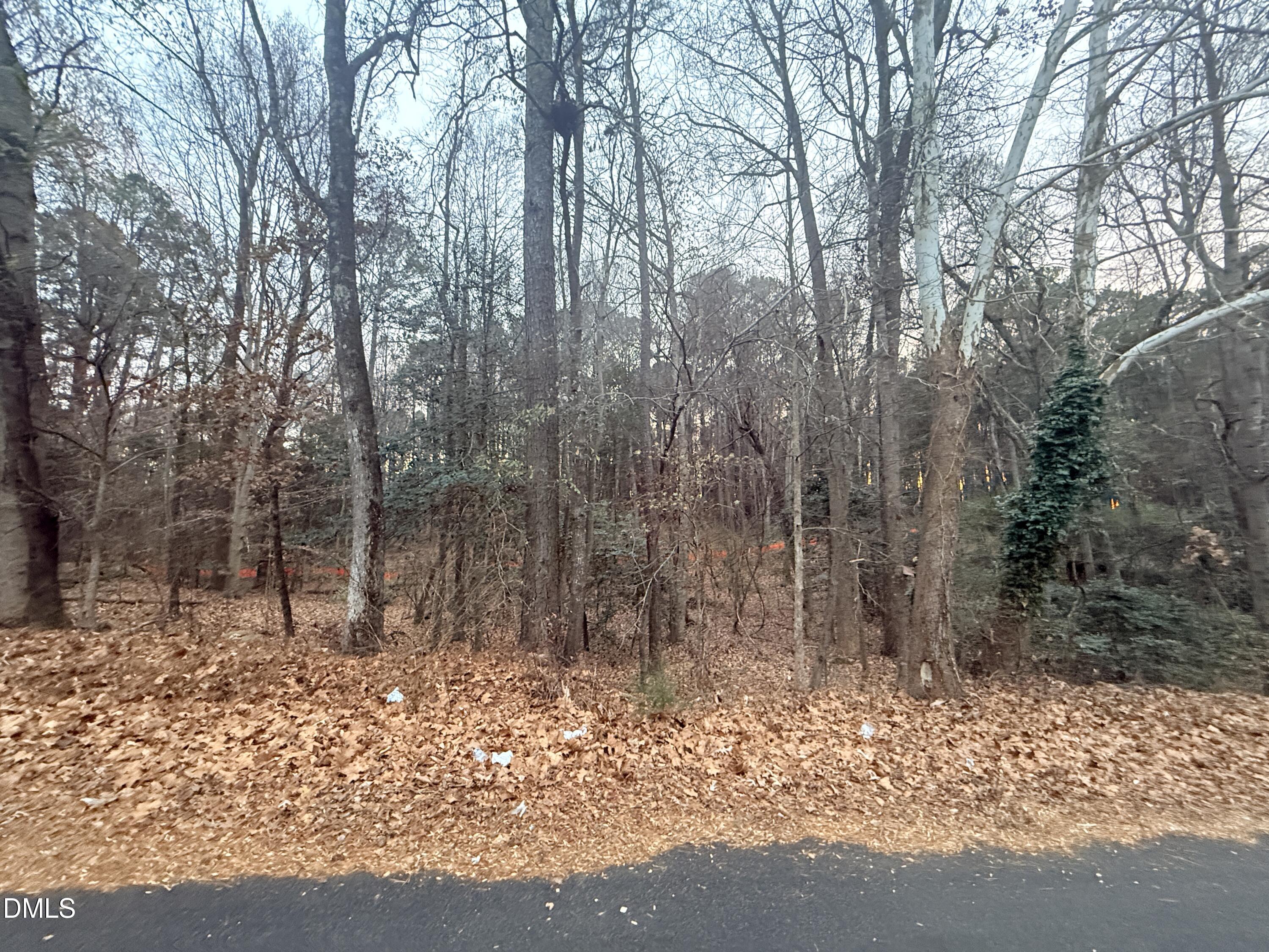 View from road