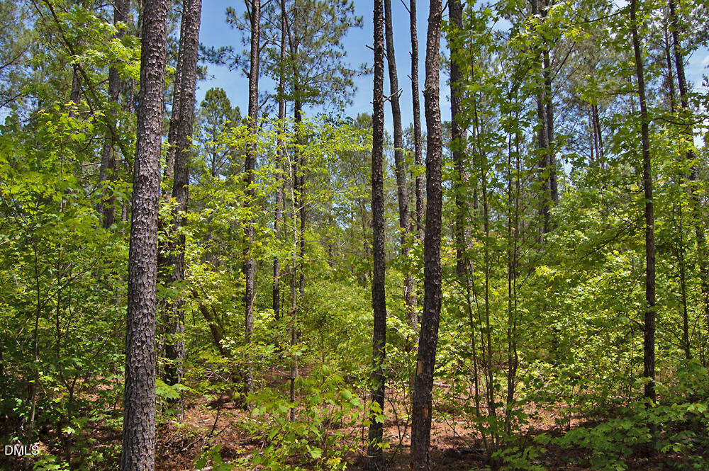 Exterior photo of I G F Ball Road, Louisburg, NC 27549. MLS: 10173662