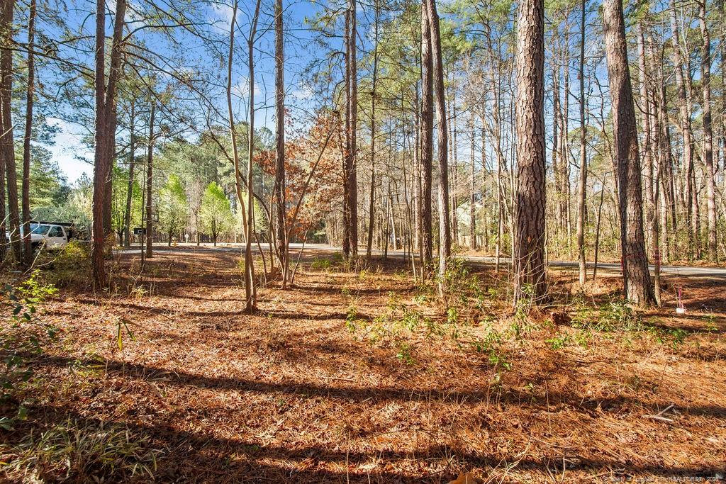 Exterior photo of 797 Daphne Lane, Vass, NC 28394. MLS: 758910