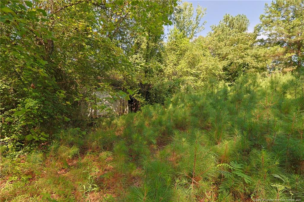 Exterior photo of 121 Buffalo Street, Fayetteville, NC 28303. MLS: 768142