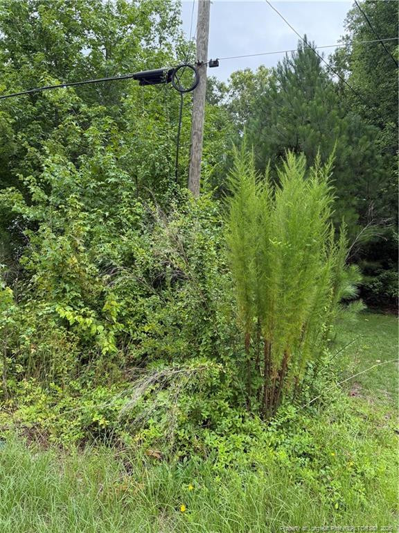 Exterior photo of 2105 Sapona Road, Fayetteville, NC 28312. MLS: 766264