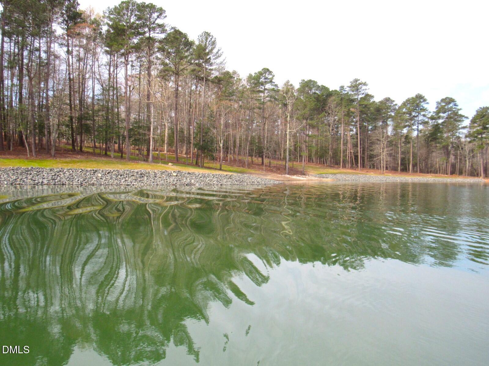 Water views (11)