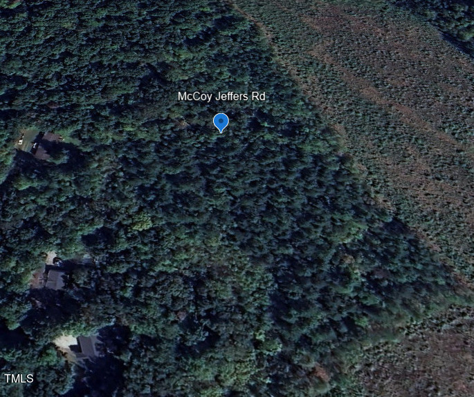 Google Earth Photo