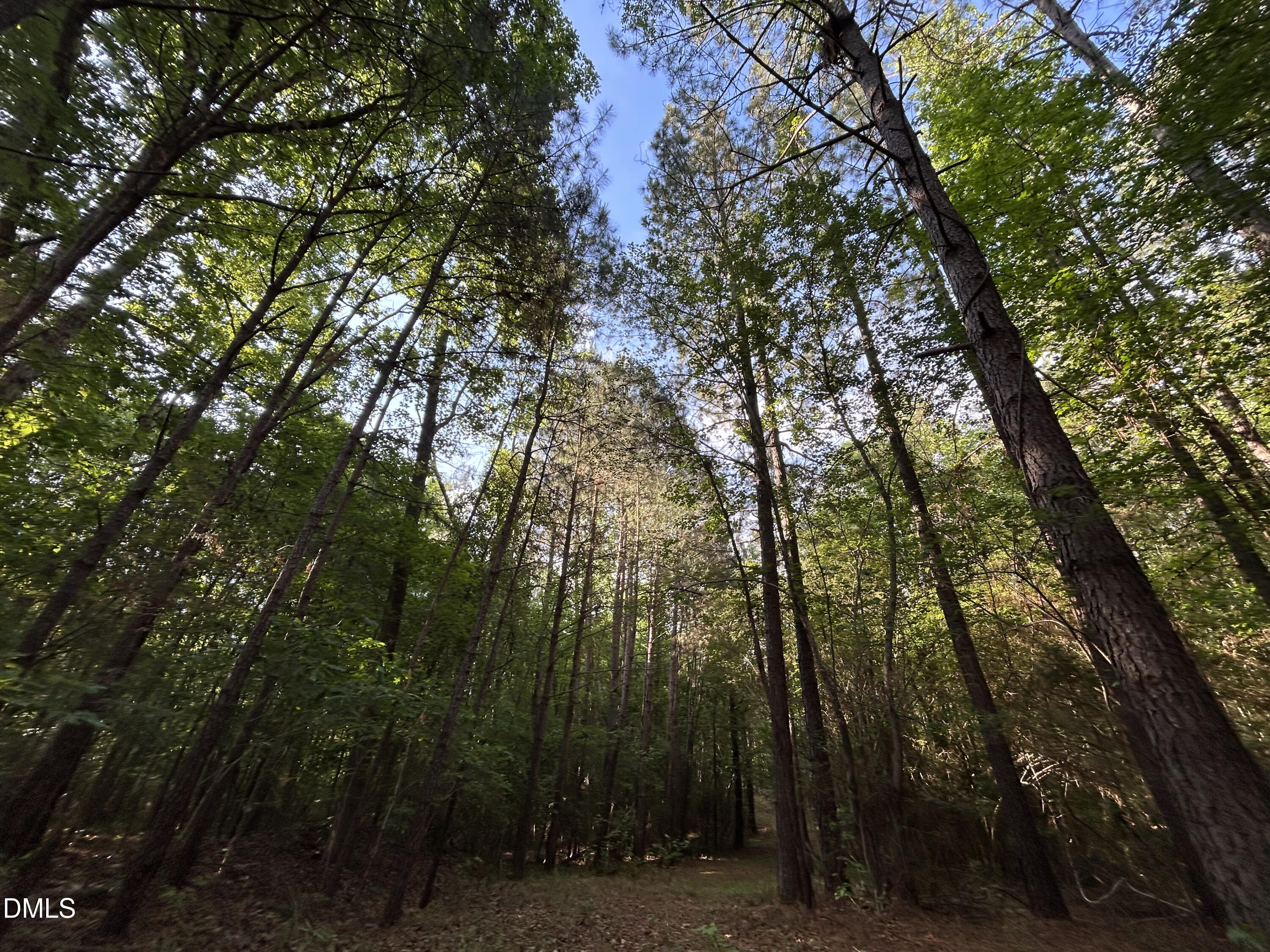 Exterior photo of 0 Beaver Dam Road, Creedmoor, NC 27522. MLS: 10177886