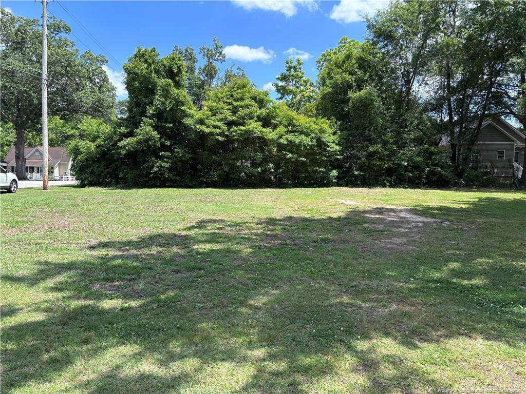 Exterior photo of 162 Coleman Street, Lumberton, NC 28358. MLS: 762686