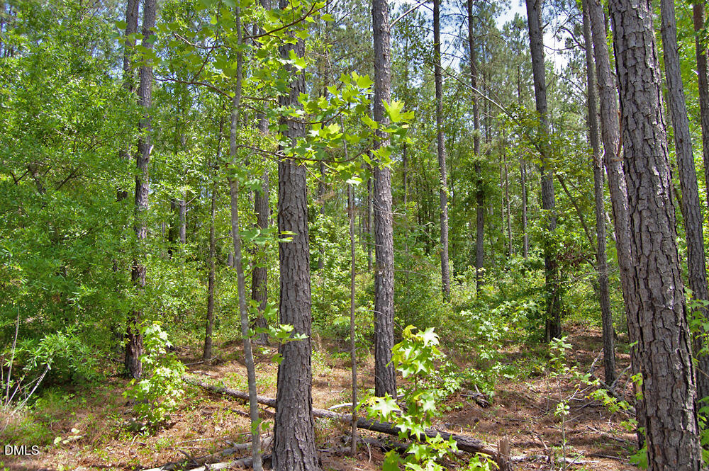 Exterior photo of F G F Ball Road, Louisburg, NC 27549. MLS: 10173649