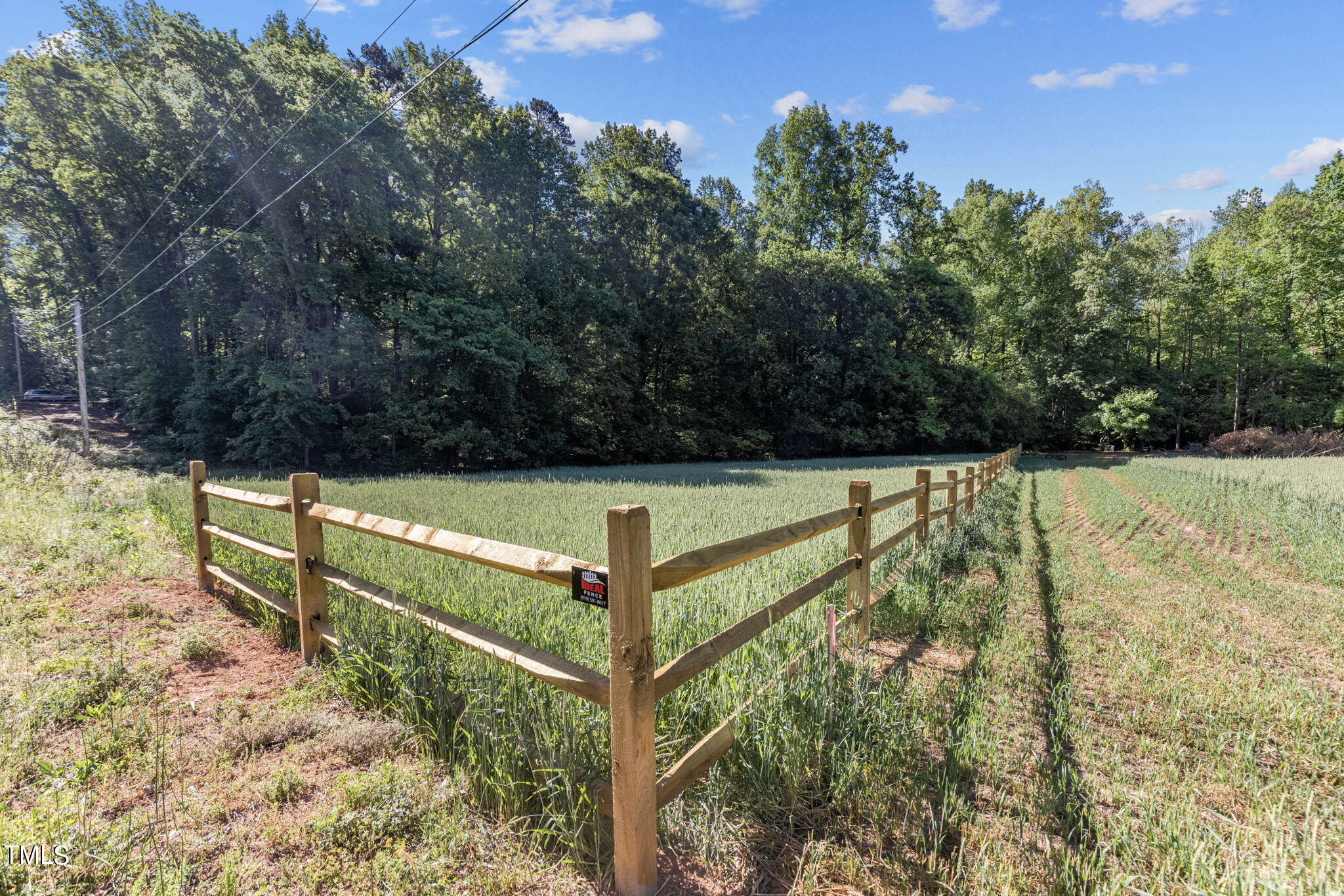 26-web-or-mls-8Y3A5294