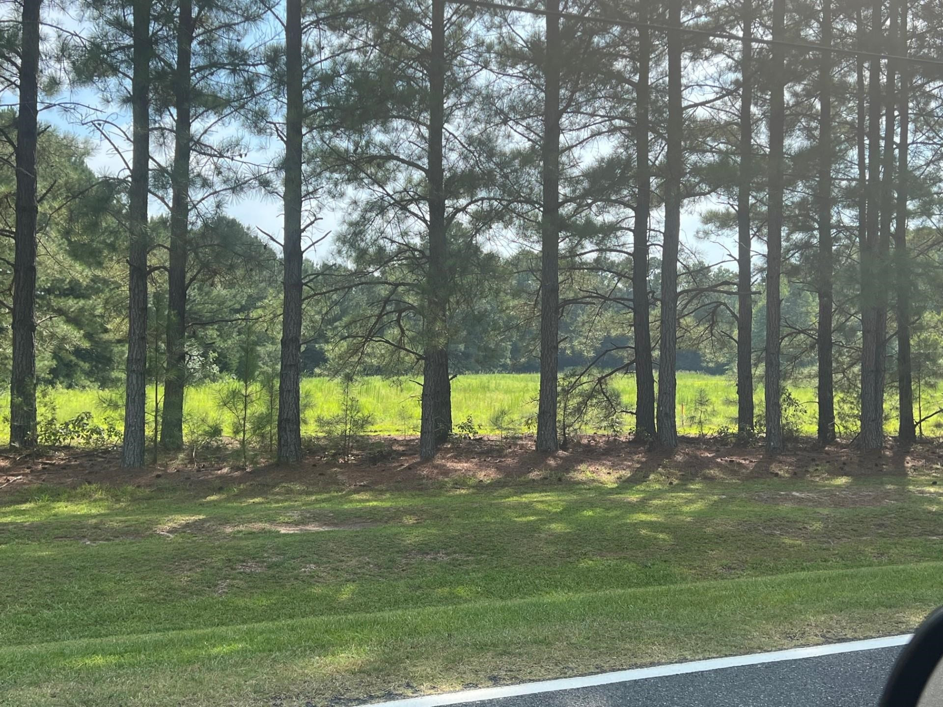 Exterior photo of 3466 Matthews Mill Pond Road, Angier, NC 27501. MLS: 2528194