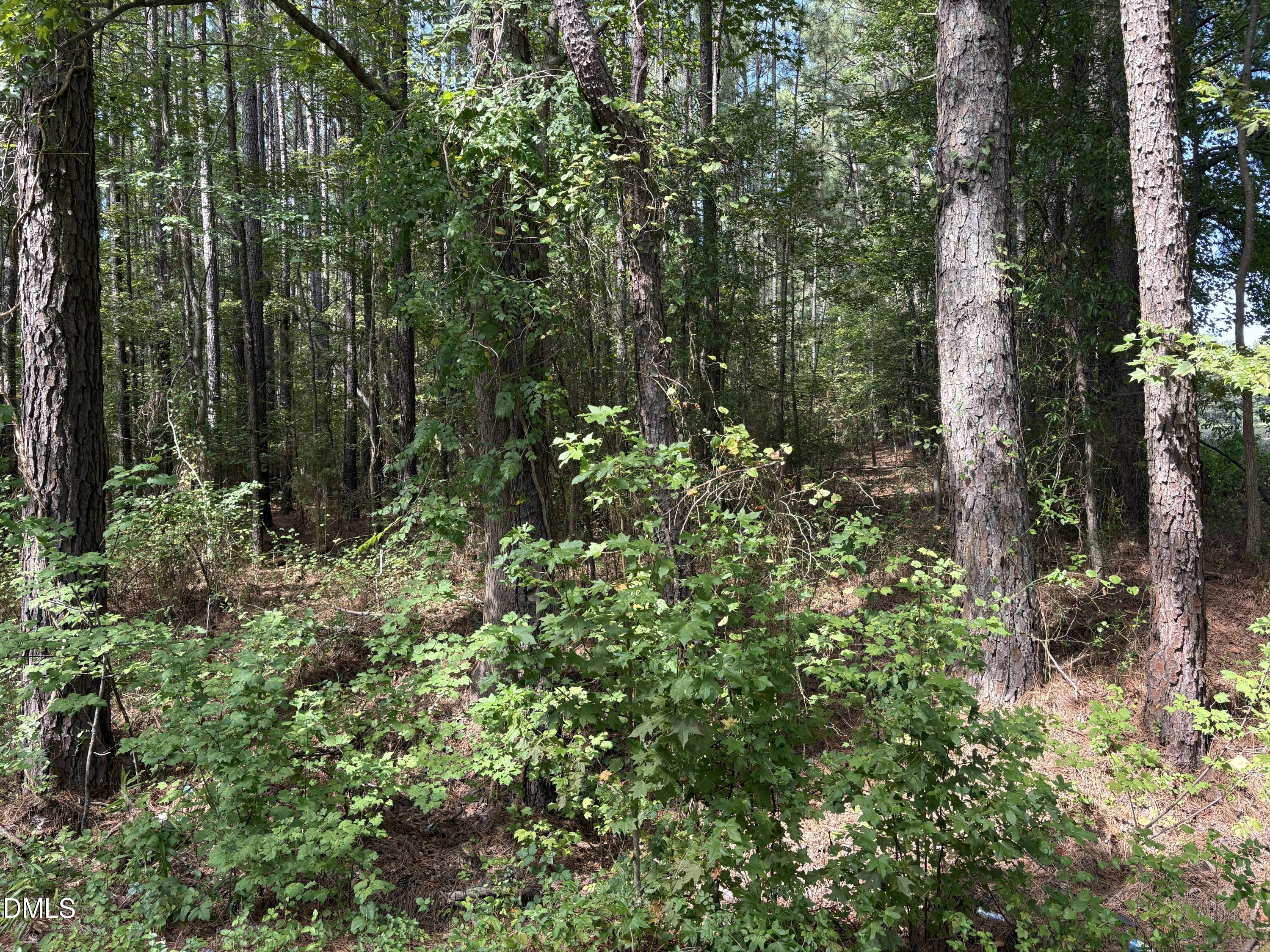 Exterior photo of 0 Carver School Road, Henderson, NC 27537. MLS: 10193925