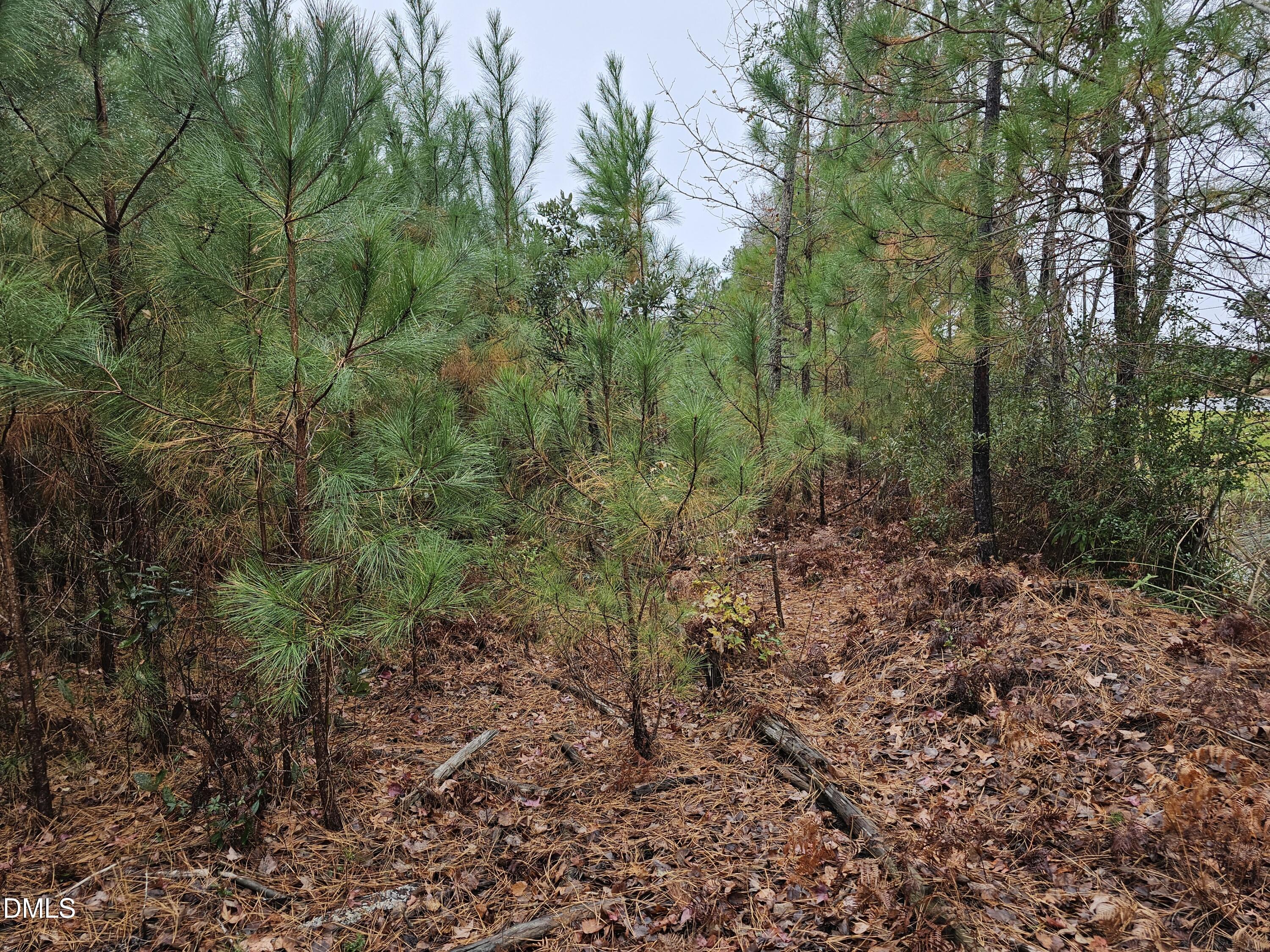 28 Acre 7