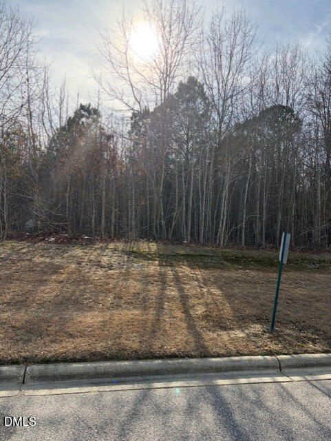 Exterior photo of 206 Hope Street, Erwin, NC 28339. MLS: 10174167