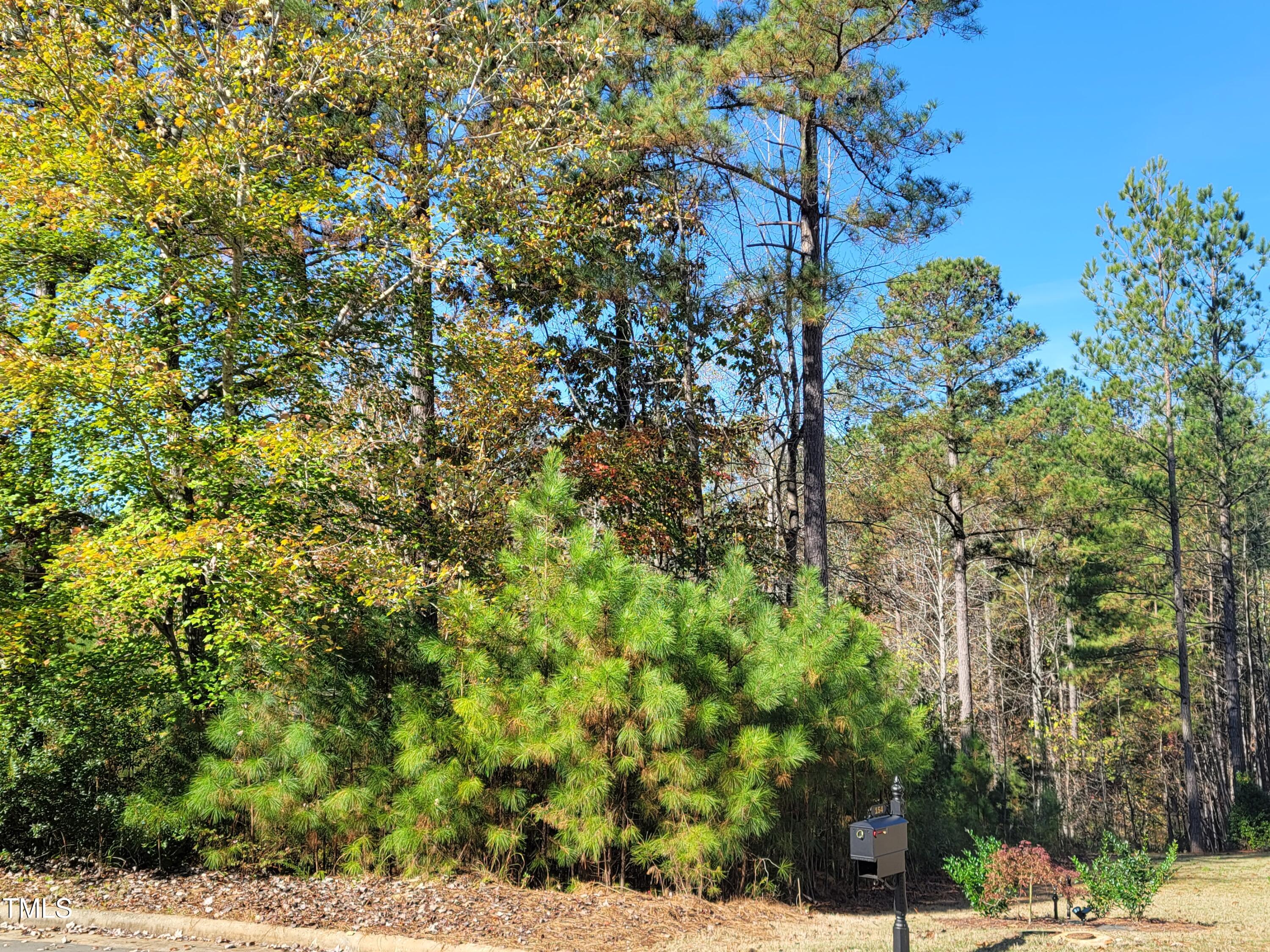 149 Brandy Mill