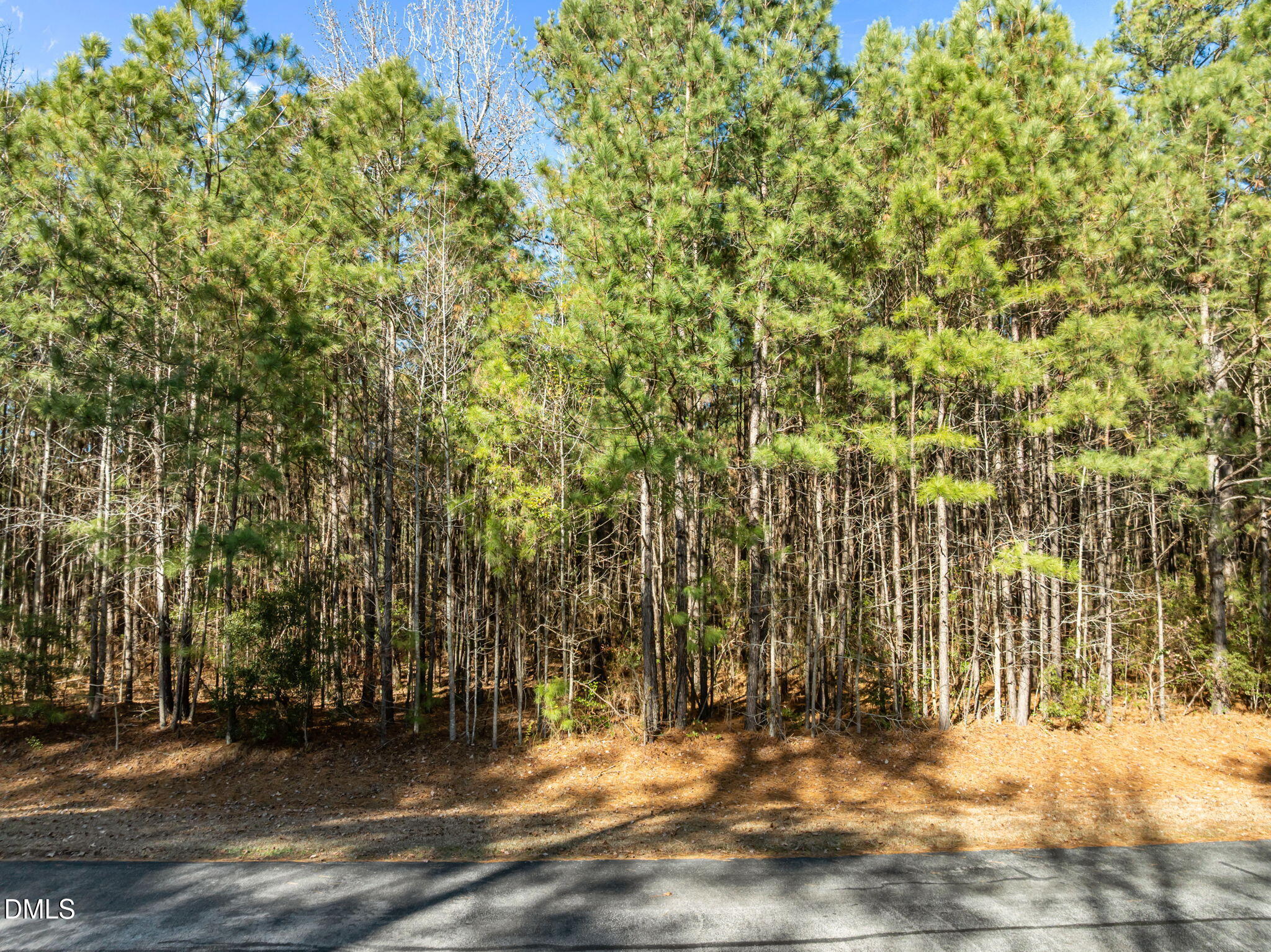 3-web-or-mls-DJI_0820