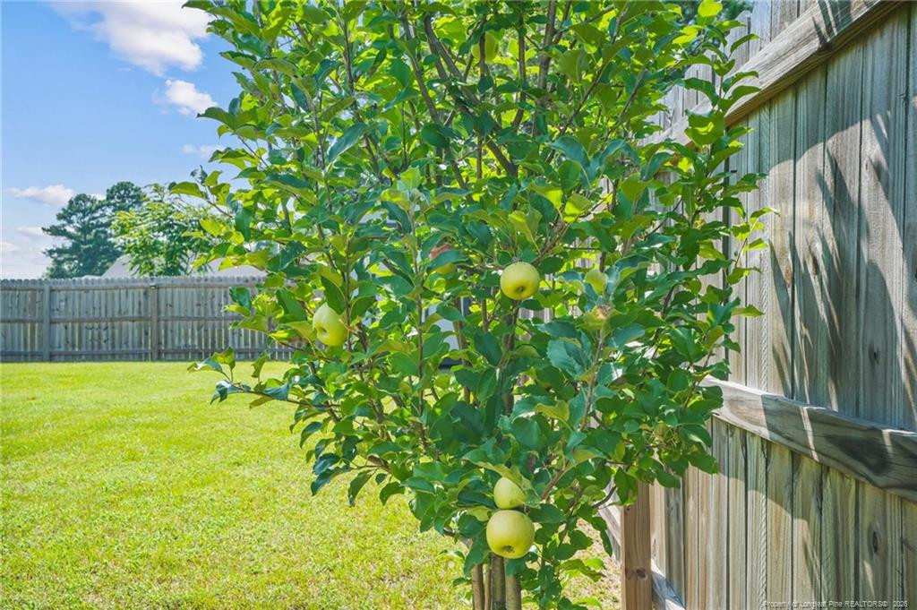 Exterior photo of 3104 Pasile Court, Sanford, NC 27332. MLS: 768415